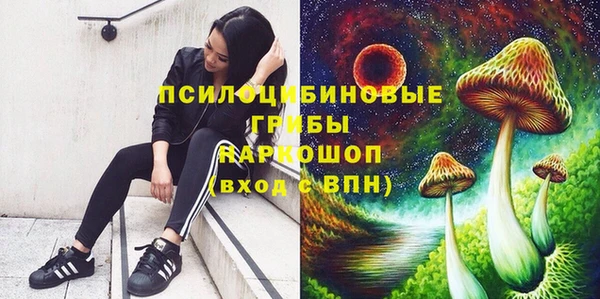 спиды Богородицк