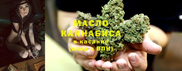 спиды Богородицк