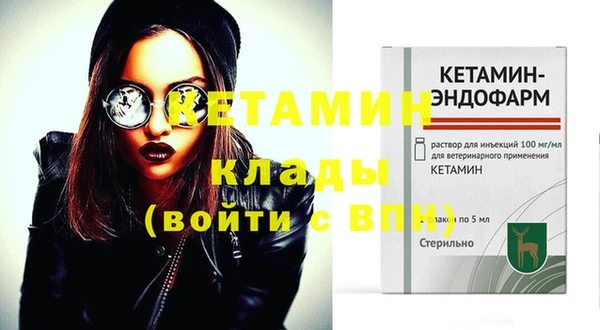 спиды Богородицк