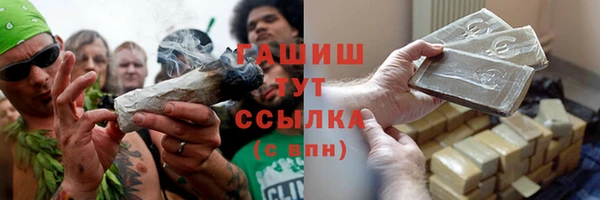 спиды Богородицк
