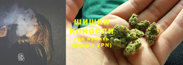 шишки Богородск