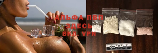 спиды Богородицк