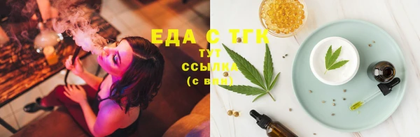 спиды Богородицк