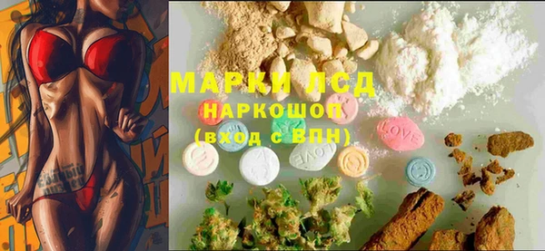 спиды Богородицк