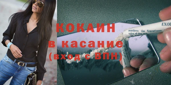 шишки Богородск