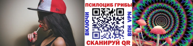 Галлюциногенные грибы Psilocybe Кириши